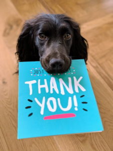 Thank you for cheerleading fundraising with dogs
