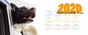 Dog Calendar Fundraiser