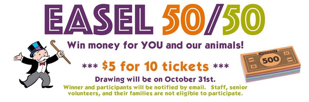 50/50 Raffles work for Cheerleading Fundraisers and dance teams