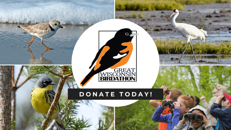Birdathon Fundraising Ideas