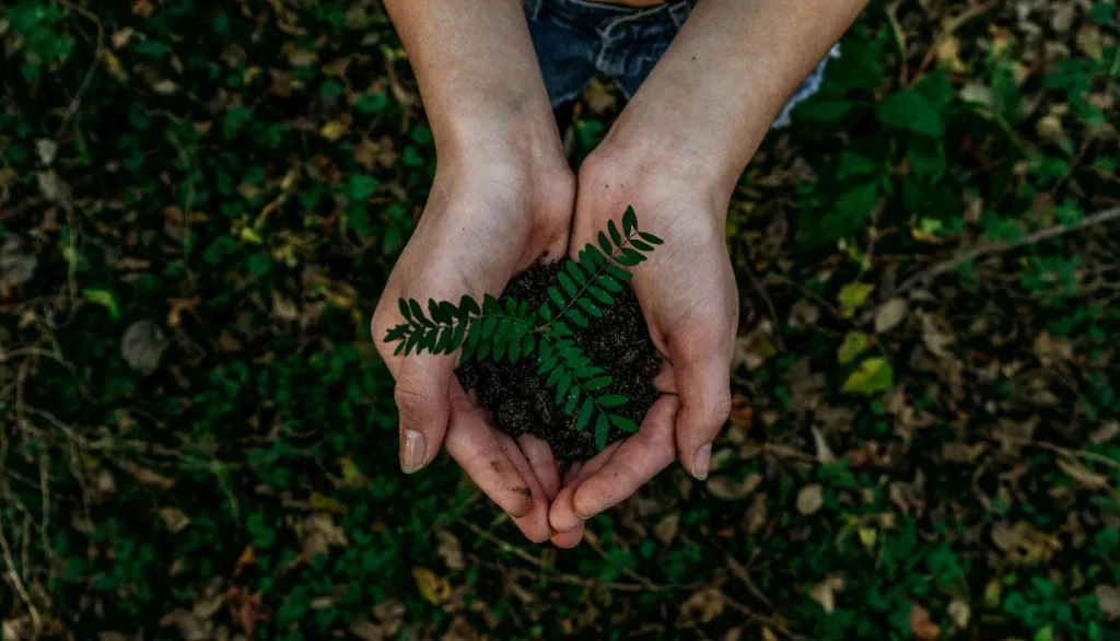 AI (in Fundraising) for Environmental Nonprofits